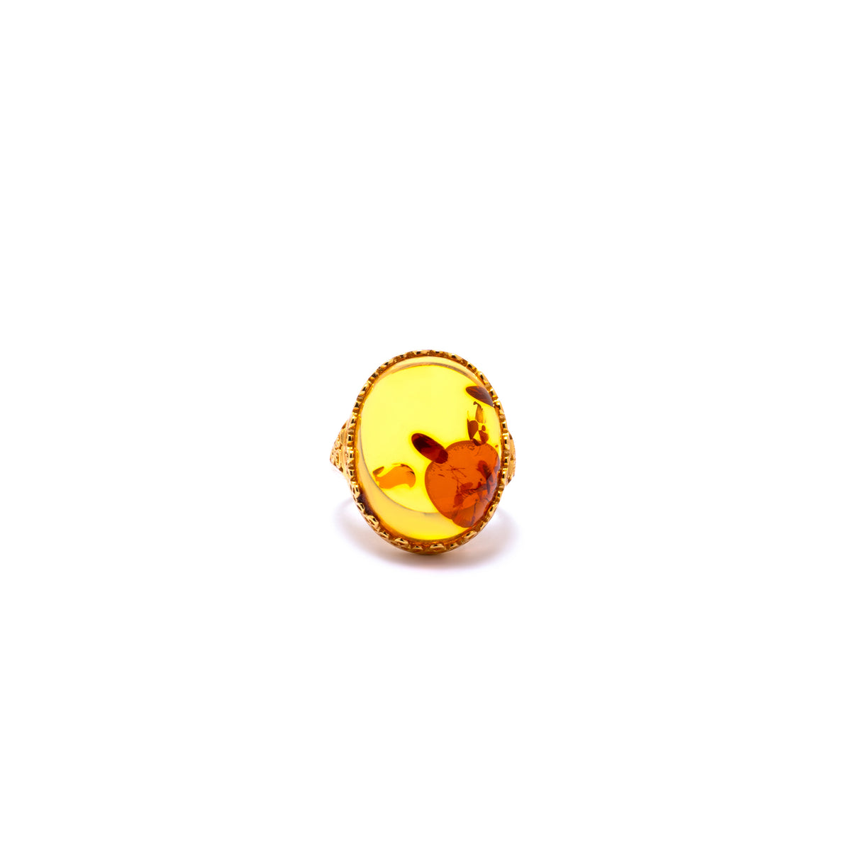 Amber Aurora